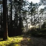 Дом отдыха Peaceful In Gehren