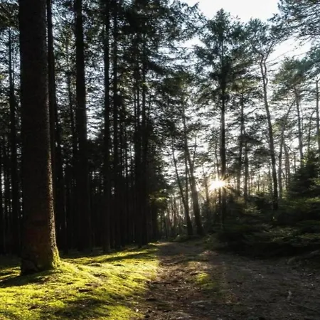 Hébergement de vacances Ruhiger Aufenthalt In Gehren
