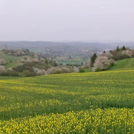 Σπίτι διακοπών Peaceful In Gehren Altenfeld (Thuringia)
