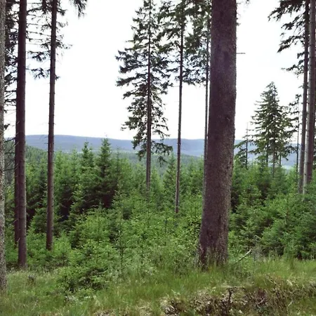 Peaceful In Gehren Casa vacanze