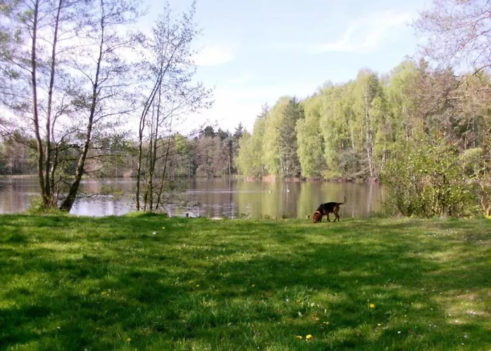 Peaceful In Gehren Altenfeld (Thuringia)