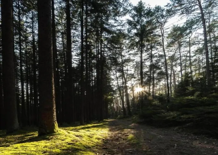 度假居 Peaceful In Gehren