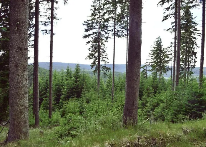 Peaceful In Gehren 펜션